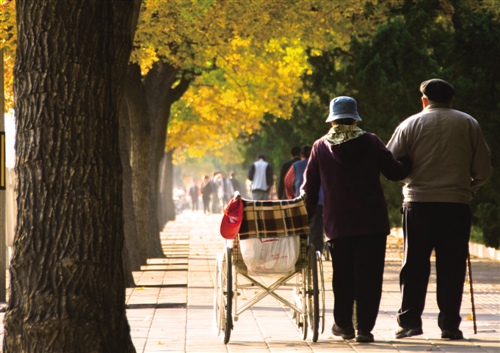 《中国养老金发展报告2016》发布